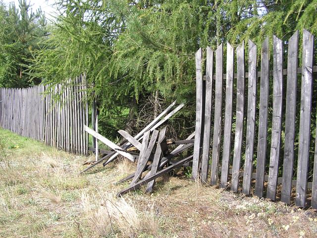 Damaged wood fence boards showing signs that replacement is needed